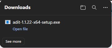 Browser downloads bar showing the installer